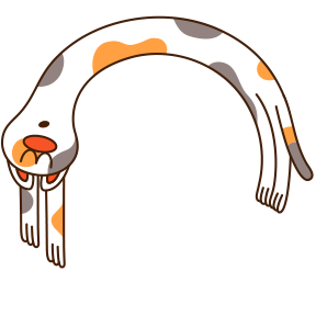 Gato 2