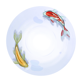 Koi